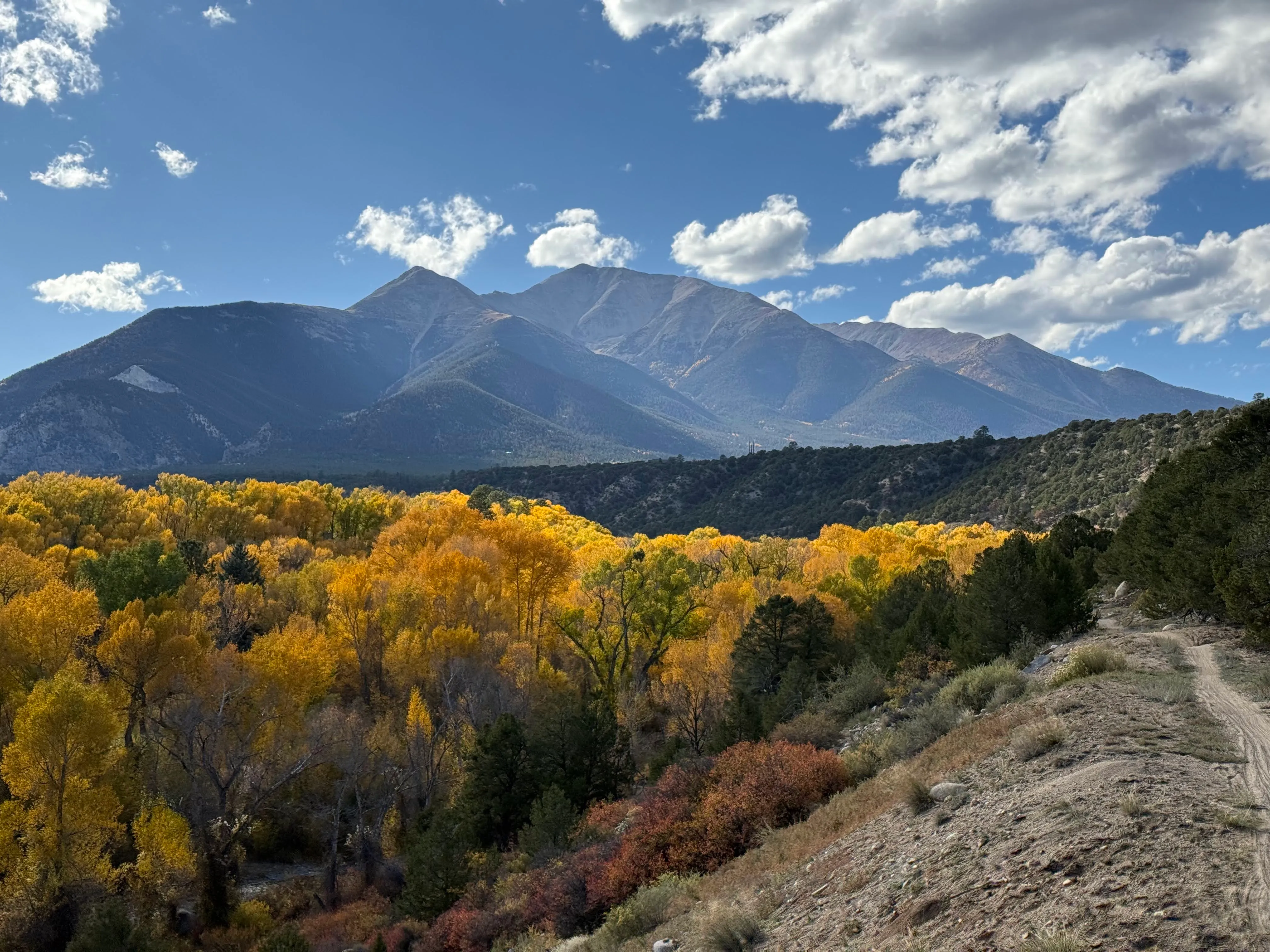 Snow-capped peaks above a golden grove of aspens at the Nathrop race venue